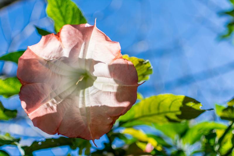Rinconcito Lodge Hacienda Santa María エクステリア 写真