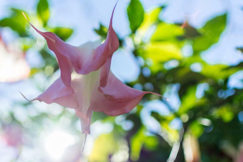 Rinconcito Lodge Hacienda Santa María エクステリア 写真