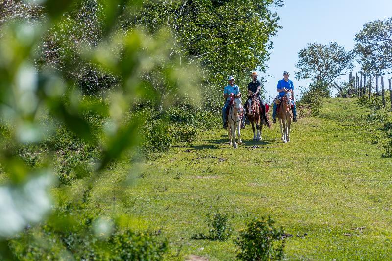 Rinconcito Lodge Hacienda Santa María エクステリア 写真